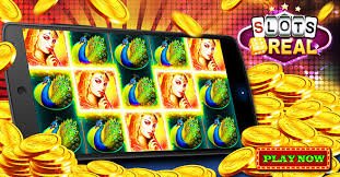 bzbet com